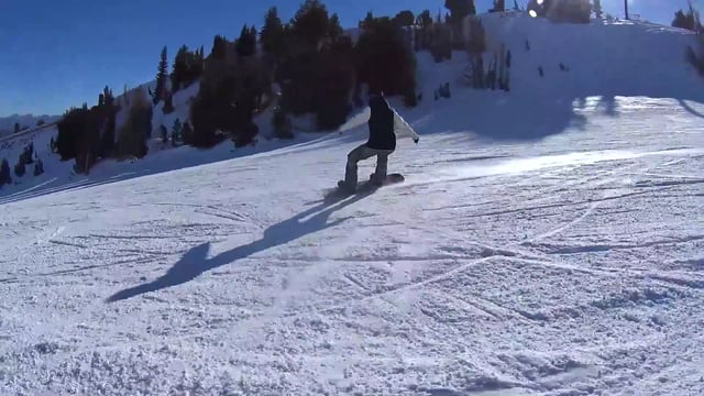 Jones Twin Sister 2013-2018 Snowboard Review