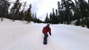 Burton Counterbalance Base Glide