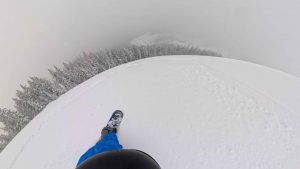 Bataleon Goliath - Powder