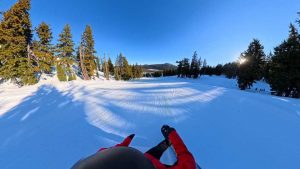 Bataleon Salsa BOA Response