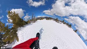 Burton Counterbalance Pop
