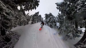 Burton Women's Smooth Operator Ollie