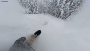 The Good Ride Favorite Powder Boards