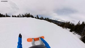 Jones Rally Cat Switch