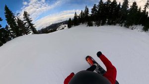 Lib Tech Dynamo Turning