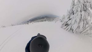 Never Summer Benchmark Powder