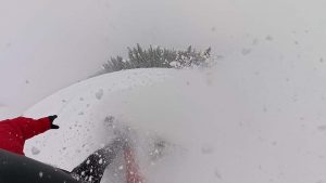 Never Summer Proto Type 3 Powder