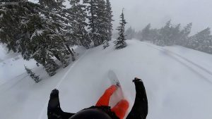 Nidecker Beta Powder