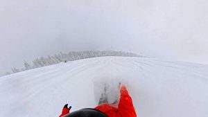 Nitro Team BOA Pow Turns