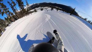 Salomon-Wolle-Nyvelt-Fish-Groomer-Carve