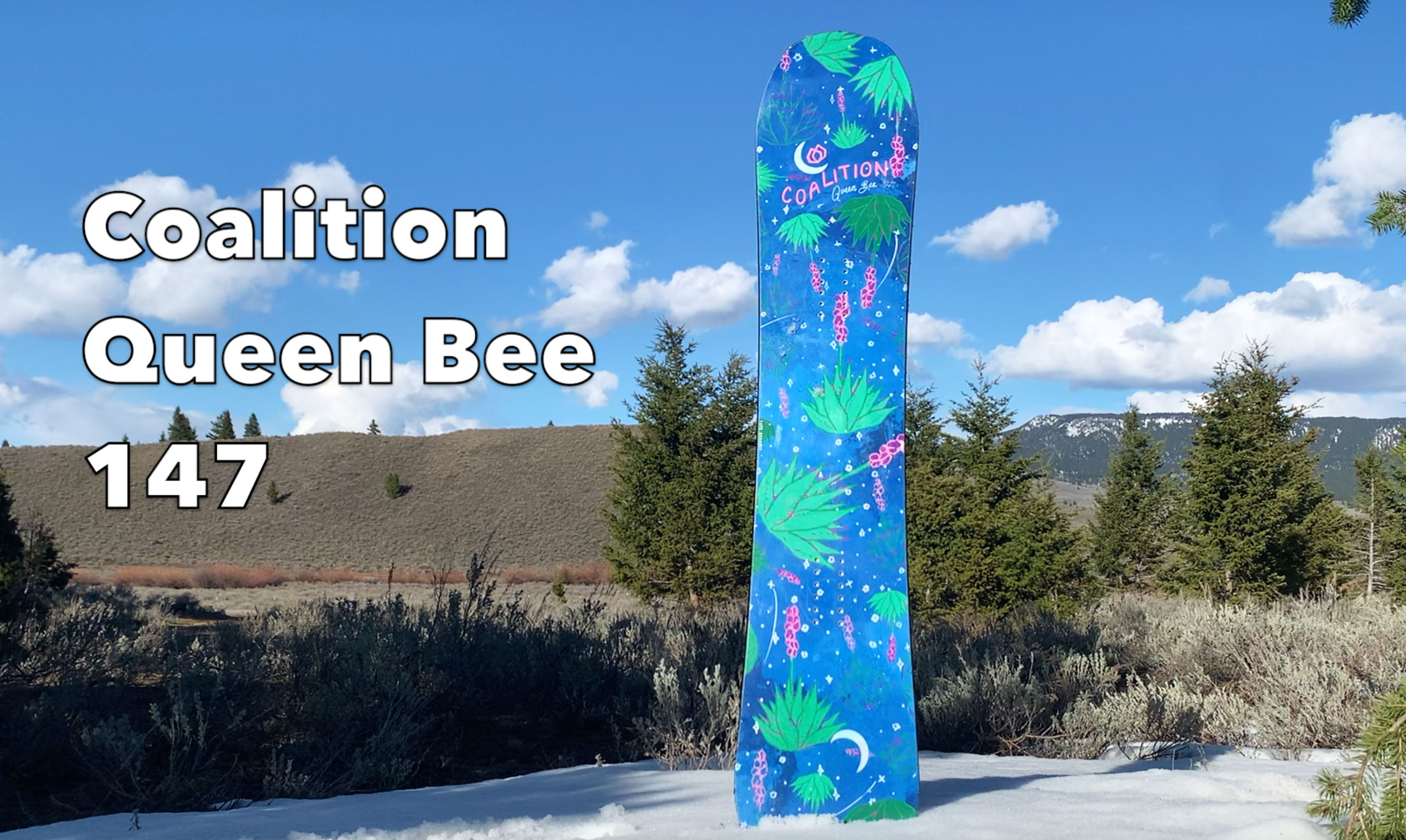 Coalition Queen Bee 2022 - 2023 Snowboard ReviewCoalition Queen 