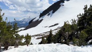 Sea to Summit Reactor Liner - mt bachelor