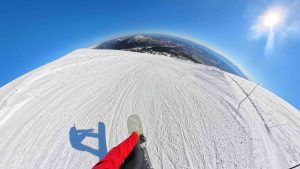 Season Primer - Ollie