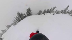Season Primer - Powder