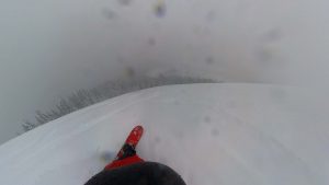 Soul Tree D In Powder