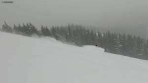 Telos Backslash Powder