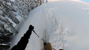 Union Rover Carbon vs. Split Boards