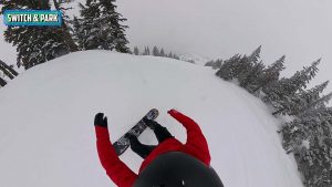 Weston Gnarnia Switch
