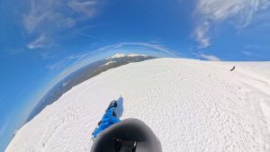 Soft Snow With Hard Chicken Heads