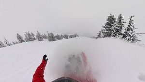 Yes Standard Powder