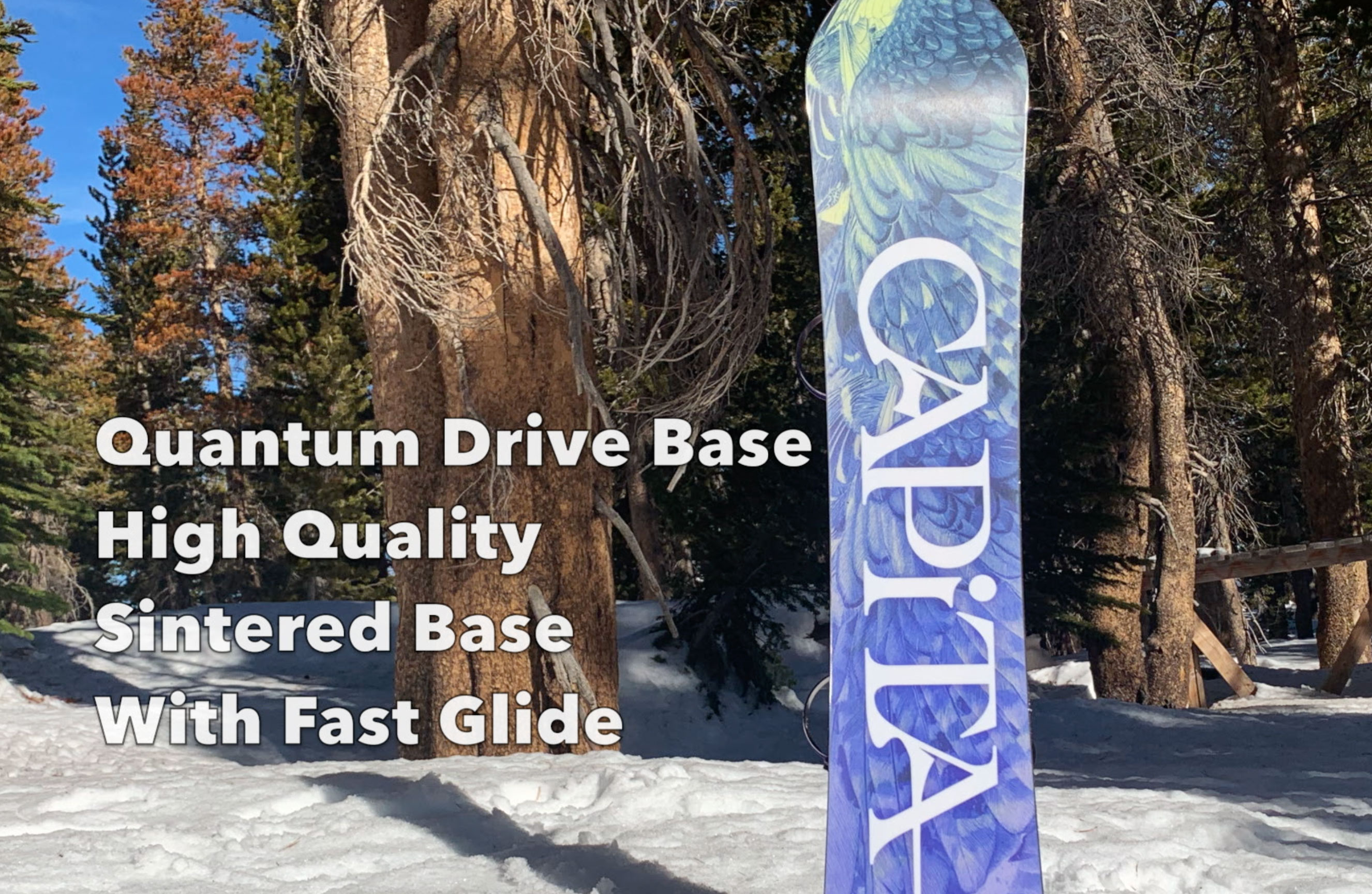 Capita Birds Of A Feather 2013-2023 Snowboard Review