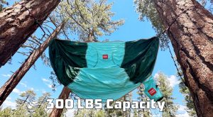 Hanging Chair Weight Capacity