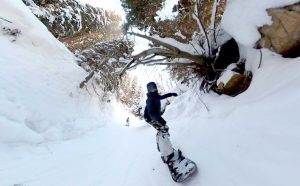 Riding The Gully