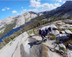 Hiking with the Mid Support Knee Sleeve