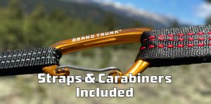 Includes Carabiners And 10' Straps